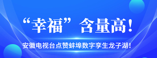 ?“幸?！焙扛?，安徽電視臺點(diǎn)贊蚌埠數(shù)字孿生龍子湖！